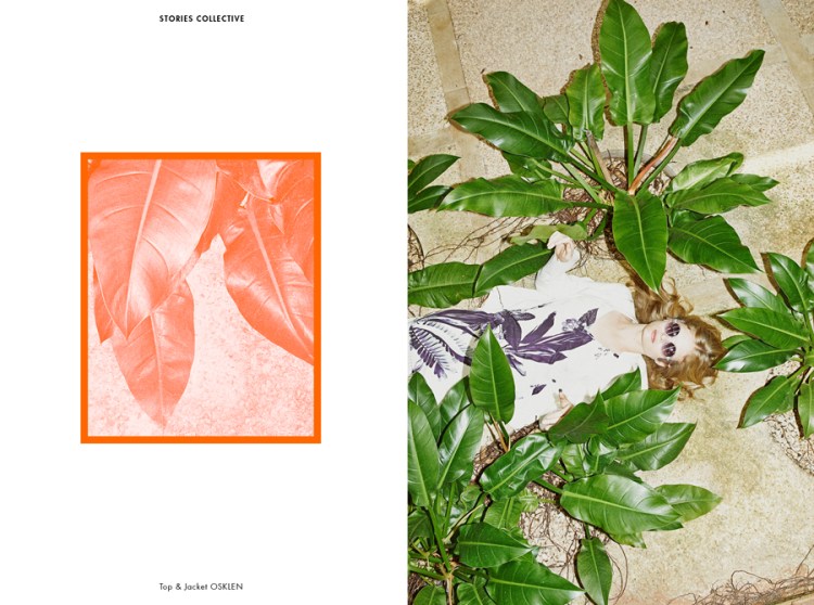 Reconstructed-Nature-5